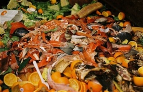Over £1m to fund food waste fight