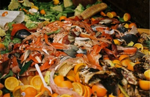 Defra food waste initiatives bear fruit
