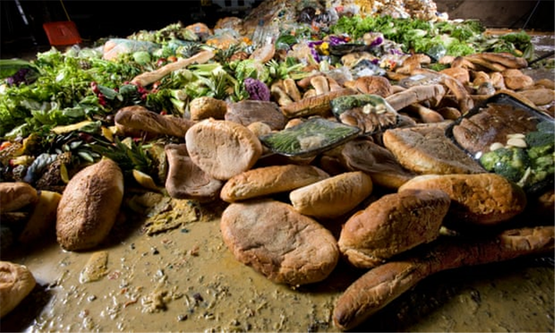 Food Waste Chief to target 'scandal' of 250m binned UK meals Food Waste Chief to target 'scandal' of 250m binned UK meals