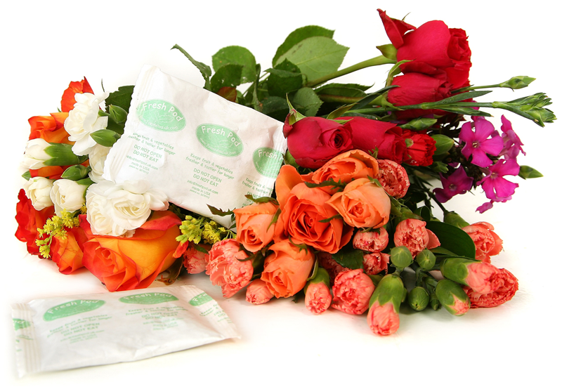 Fresh Pod enters the overseas flora market Fresh Pod enters the overseas flora market