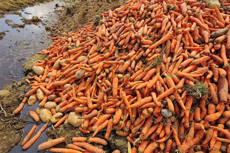 The huge problem of food waste could be twice as big as we thought