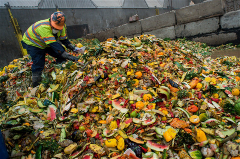 Free food waste collection for every household in England Free food waste collection for every household in England