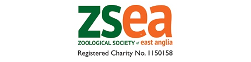 On a mission to climb Kilimanjaro for local charity ZSEA On a mission to climb Kilimanjaro for local charity ZSEA